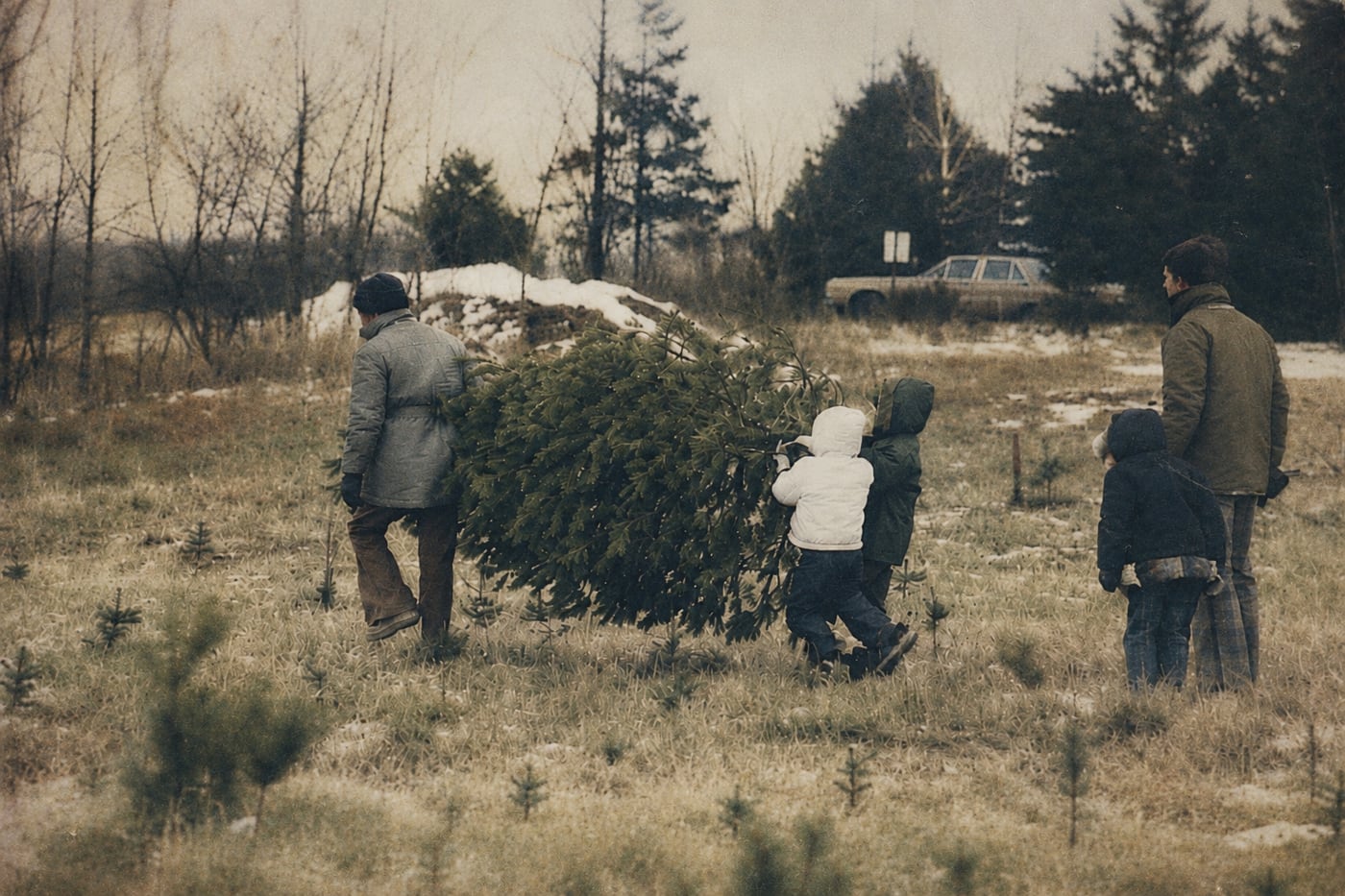 A family carrying a fresh-cut Christmas tree across the fields at Abbey Farms