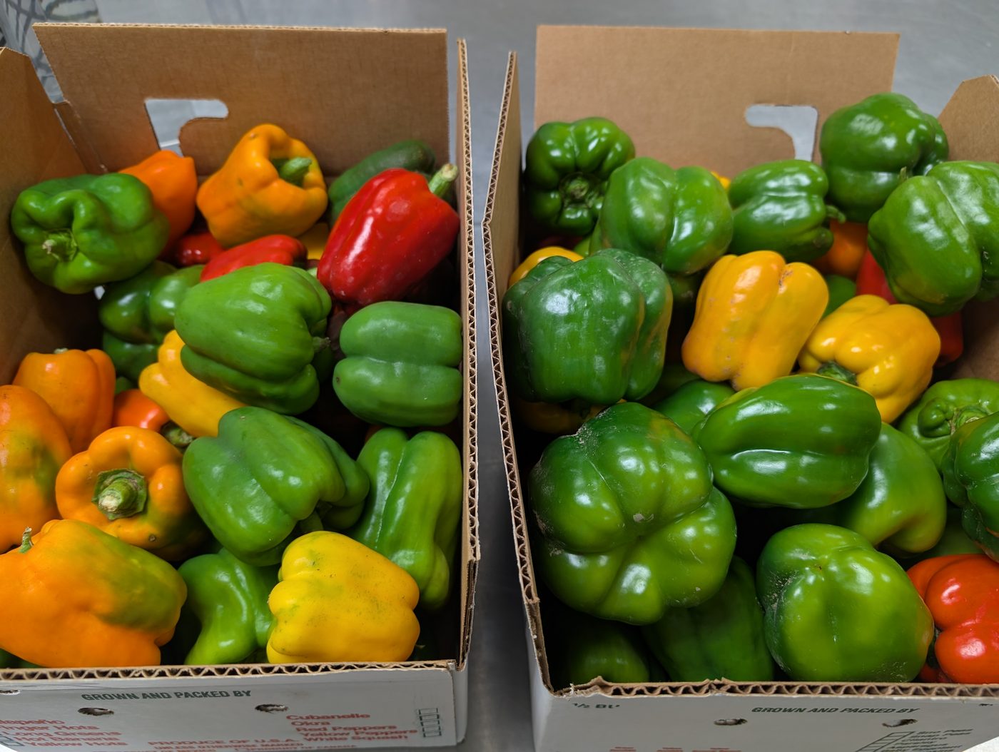 Boxes of green, red, yellow, and orange bell peppers
