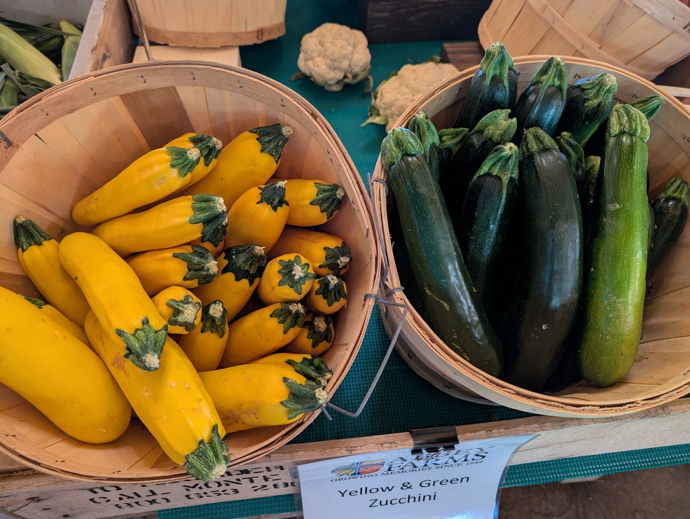 Bushel baskets of yellow squash and green zucchini