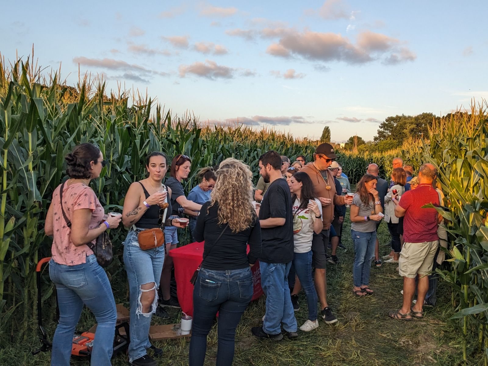Guests enjoying craft beverage tastings at a station inside the Abbey Farms corn maze at sunset